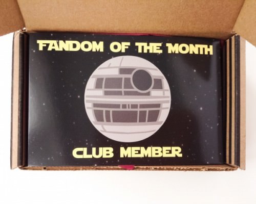 Fandom of the Month Club Review + Coupon Code – December 2015