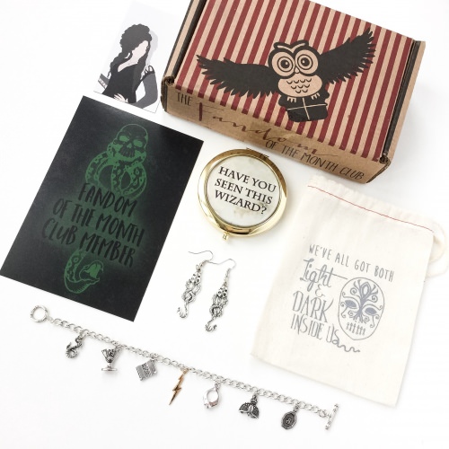Fandom Of The Month Club Review + Coupon Code – January 2016