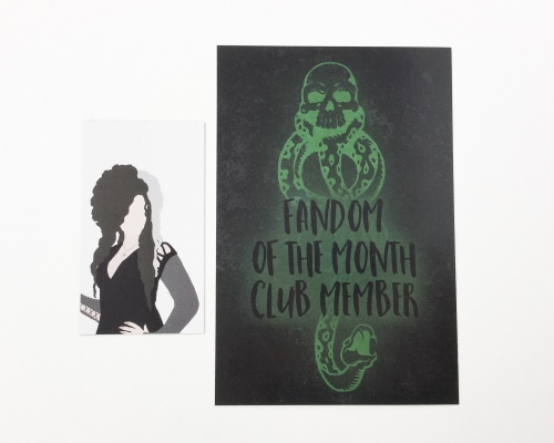 Fandom Of The Month Club Review + Coupon Code – January 2016