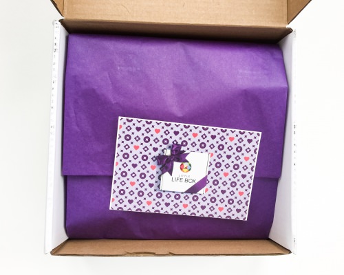 Little Life Box Review + Promo Code – February 2016