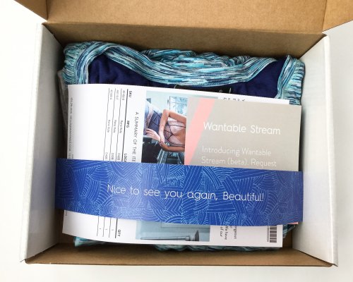 Wantable Intimates Box Review – February 2016