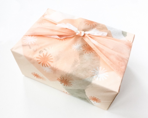 Snakku Review + Promo Code & GIVEAWAY – January 2016