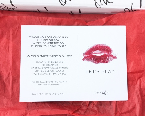 The Big Oh! Box Review + Coupon Code – February 2016