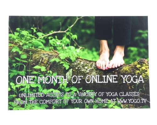 Vancity Box Review + Coupon Code – March 2016