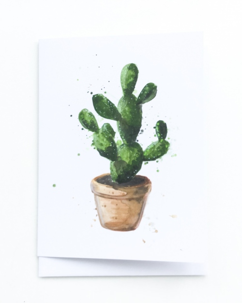 Vancity Box Review + Coupon Code – March 2016