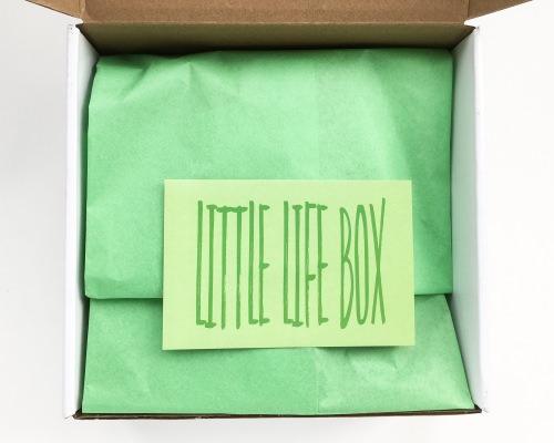 Little Life Box Review + Promo Code & GIVEAWAY – March 2016