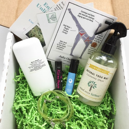 BuddhiBox Review + Coupon Code – March 2016