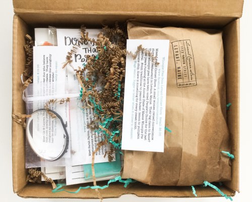 The Willie Wags Review + Coupon Code – March 2016