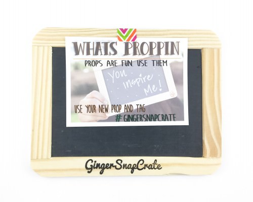 GingerSnapCrate Review + Promo Code – March 2016
