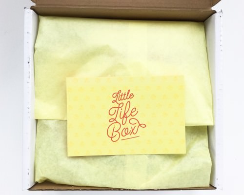 Little Life Box Review + Promo Code – April 2016