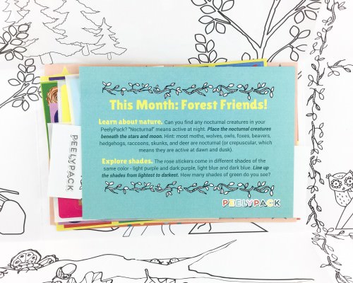 PeelyPack Review + Coupon Code – April 2016