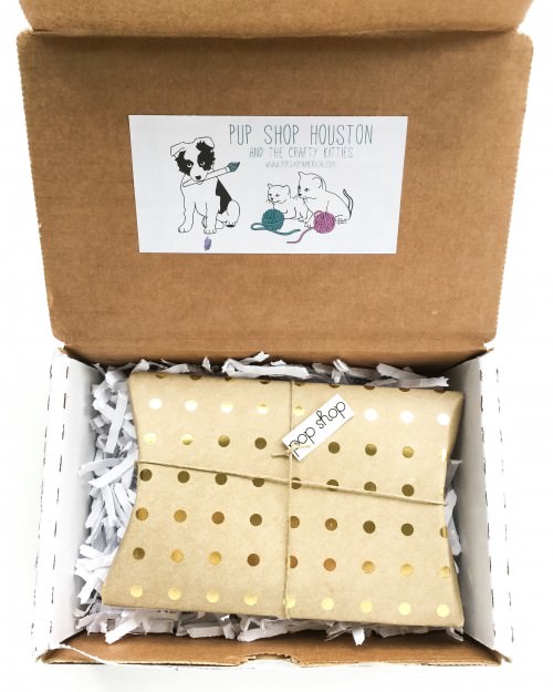 Pop Shop America Earring Of The Month Club Review – May 2016