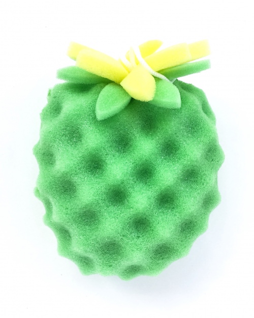 Fruit For Thought Review + Coupon Code – May 2016