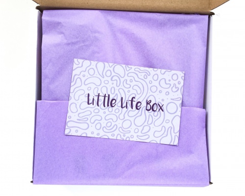 Little Life Box Review + Promo Code – May 2016