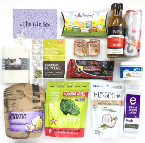 Little Life Box Review + Promo Code – May 2016