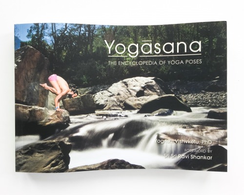 BuddhiBox Review + Coupon Code – May 2016