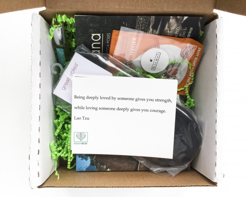 BuddhiBox Review + Coupon Code – May 2016