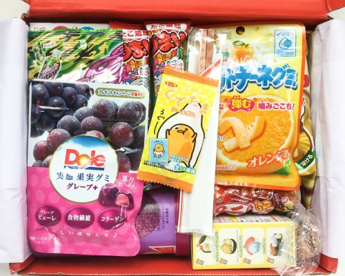 Skoshbox Japan Box Review + Coupon Code – May 2016