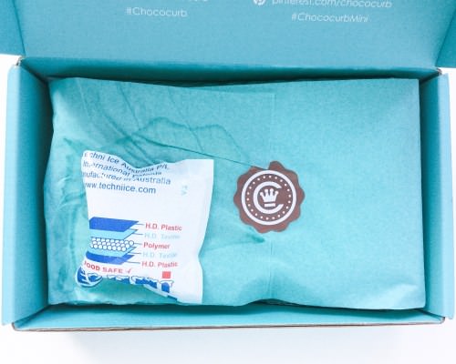 Chococurb Mini Review – Chocolate Subscription Box – June 2016