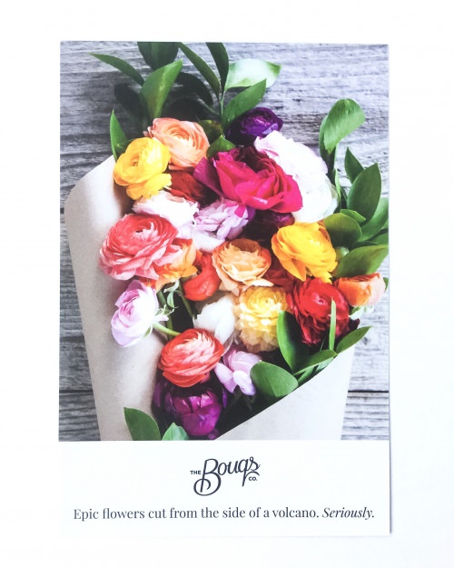 Chococurb Mini Review – Chocolate Subscription Box – June 2016