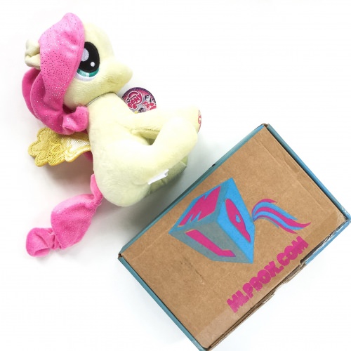 My Little Pony Box Review – June 2016