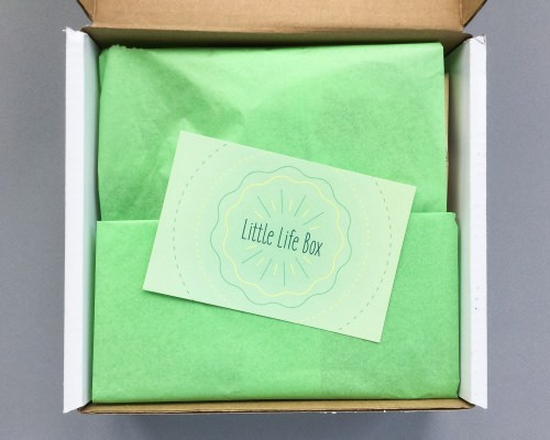 Little Life Box Review + Promo Code – July 2016