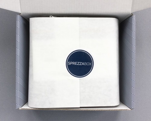 SprezzaBox Review + Coupon Code – July 2016