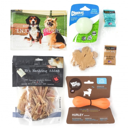 Paws & Play Review – July 2016