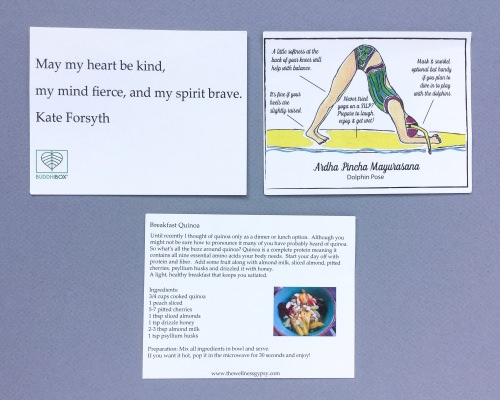 BuddhiBox Review + Coupon Code – June 2016