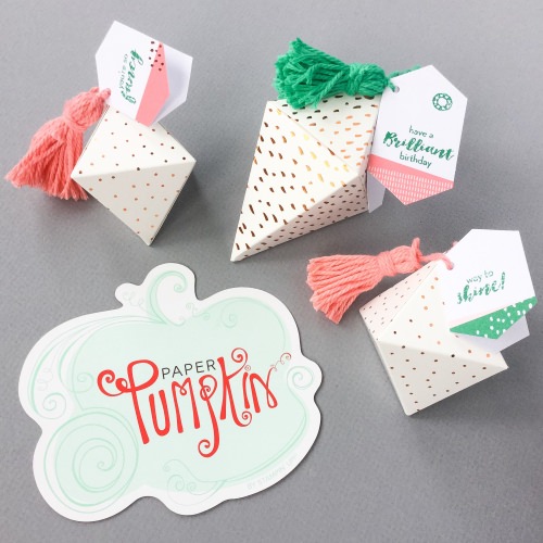 Paper Pumpkin Review + Promo Code – July 2016