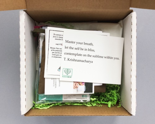 BuddhiBox Review + Coupon Code – July 2016