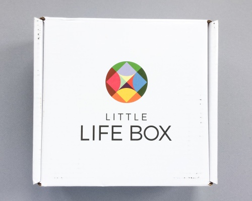 Little Life Box Review + Promo Code – August 2016