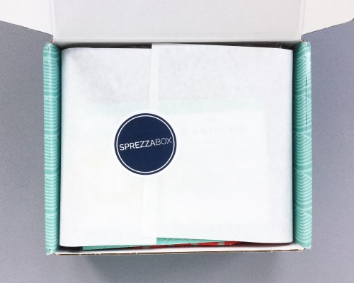 SprezzaBox Review + Coupon Code – August 2016