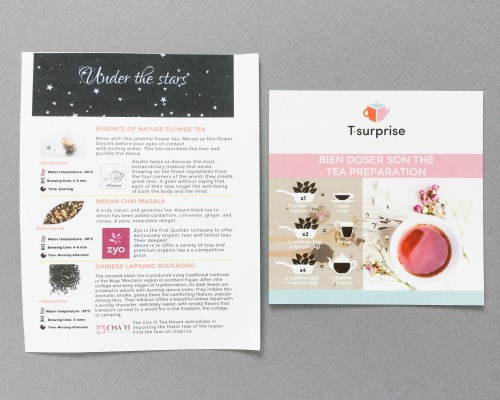 T.Surprise Subscription Box Review – August 2016