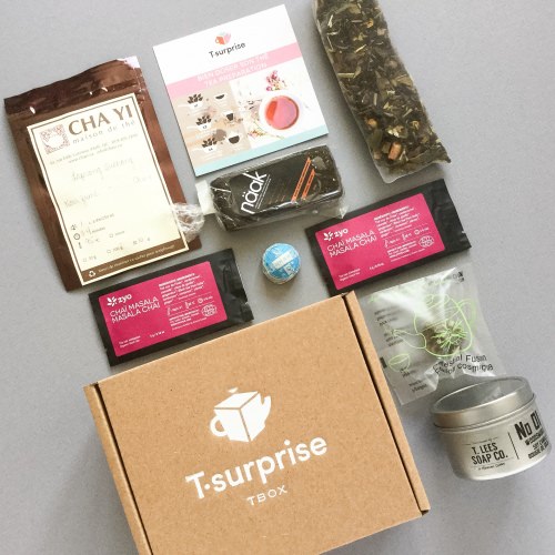 T.Surprise Subscription Box Review – August 2016
