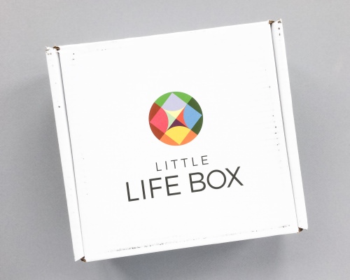 Little Life Box Review + Promo Code – September 2016