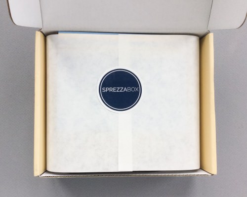 SprezzaBox Review + Coupon Code – September 2016