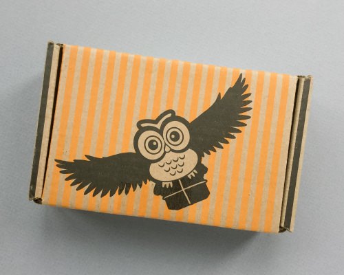 Fandom of the Month Club Review + Coupon Code – August 2016