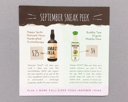Yogi Surprise Subscription Box Review + Coupon Code – August 2016