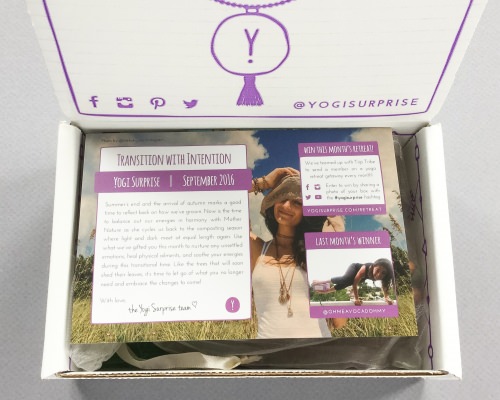 Yogi Surprise Jewelry Subscription Box Review + Coupon Code – September 2016