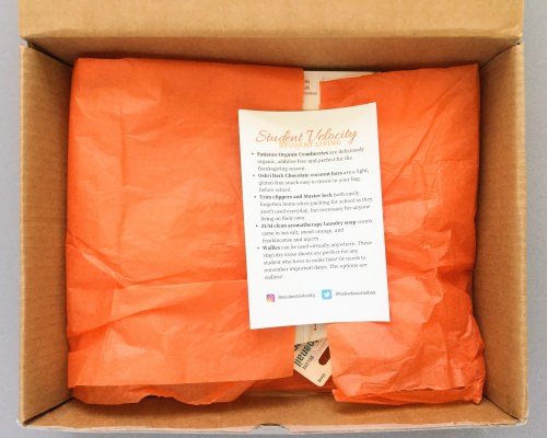Student Velocity Review + Coupon Code – October 2016