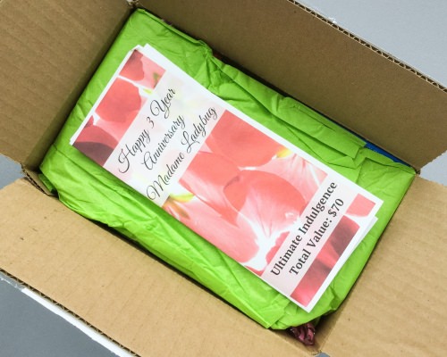 Madame Ladybug Subscription Box Review – September 2016