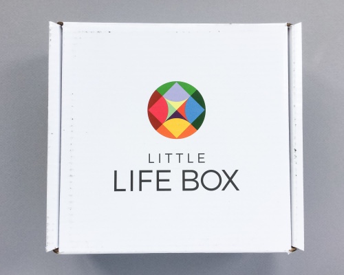 Little Life Box Review + Promo Code – October 2016