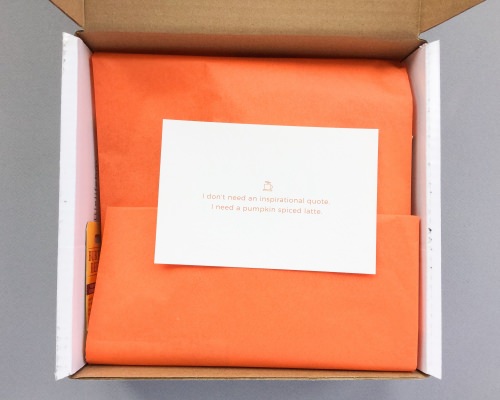 Little Life Box Review + Promo Code – October 2016