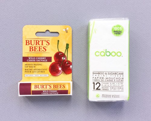 Little Life Box Review + Promo Code – October 2016