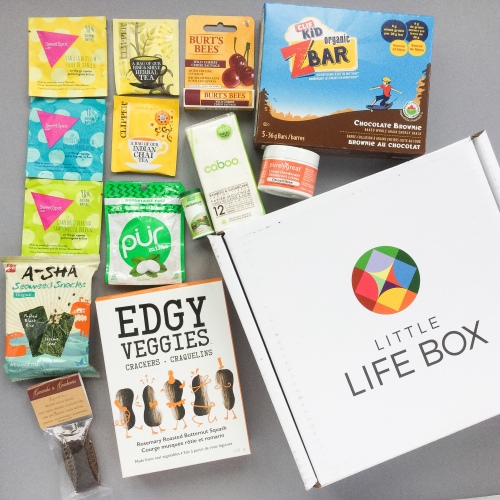 Little Life Box Review + Promo Code – October 2016