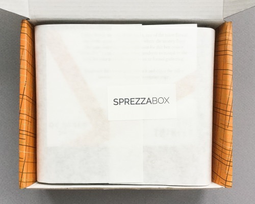 SprezzaBox Review + Coupon Code – October 2016