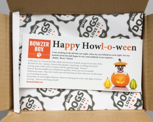 Bowzer Box Review + Discount Code – October 2016