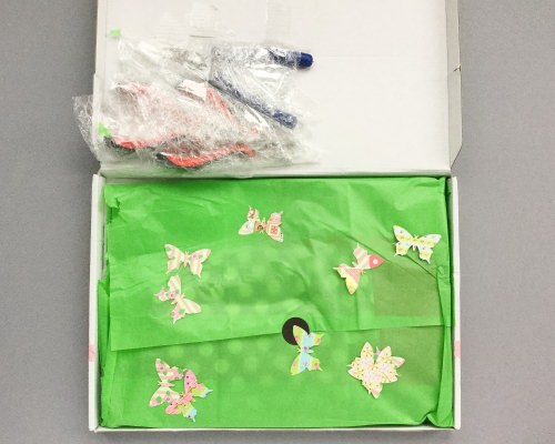 Surprise Box Club Review + Coupon Code – October 2016