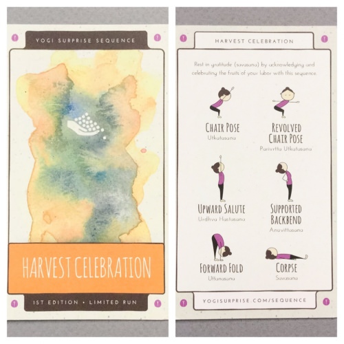 Yogi Surprise Subscription Box Review + Coupon Code – October 2016